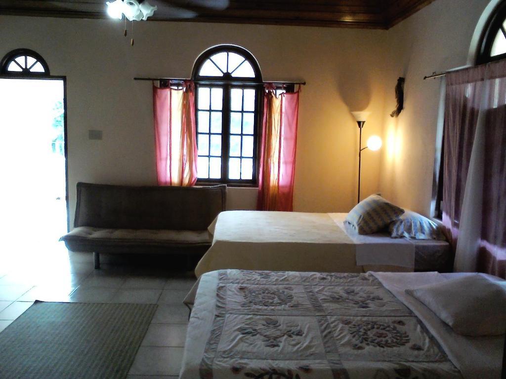 Dolphin Bay Yoga Guest House Drapers Zimmer foto