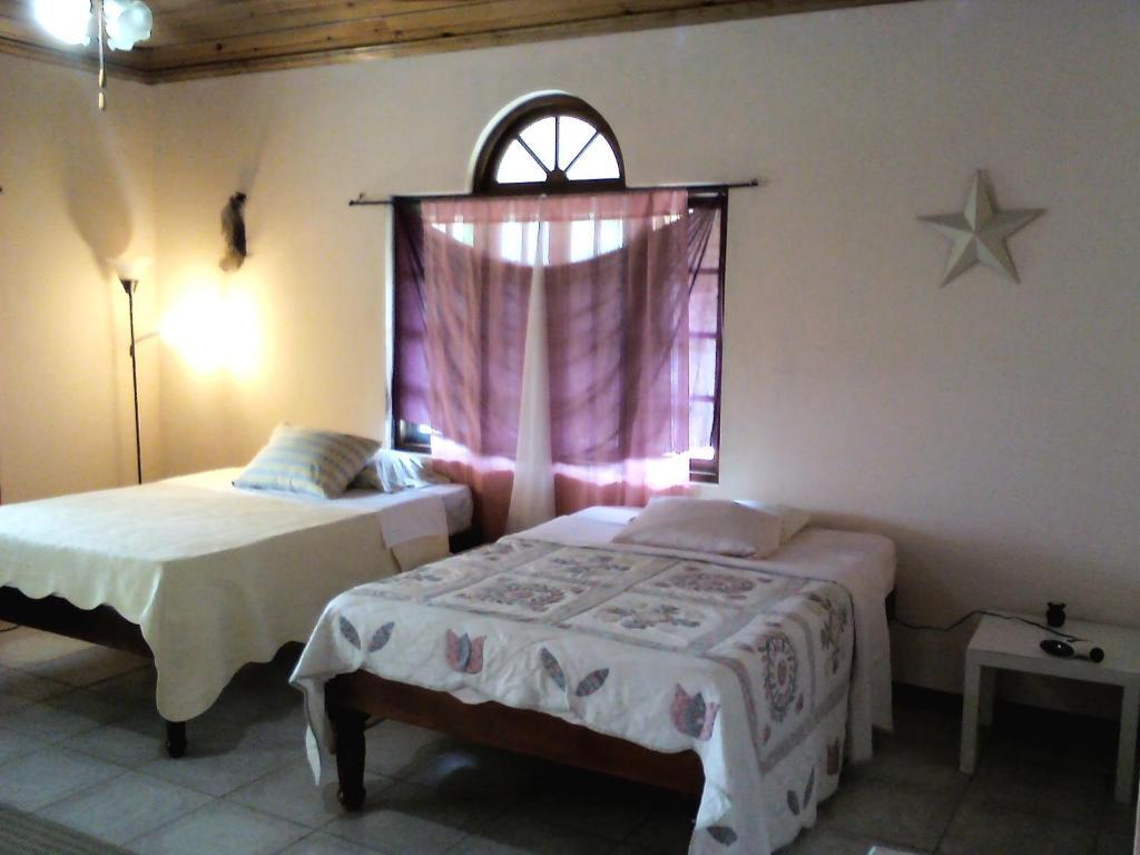 Dolphin Bay Yoga Guest House Drapers Exterior foto